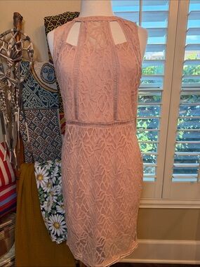 bebe Blush Pink Lace Cutout Mini Dress